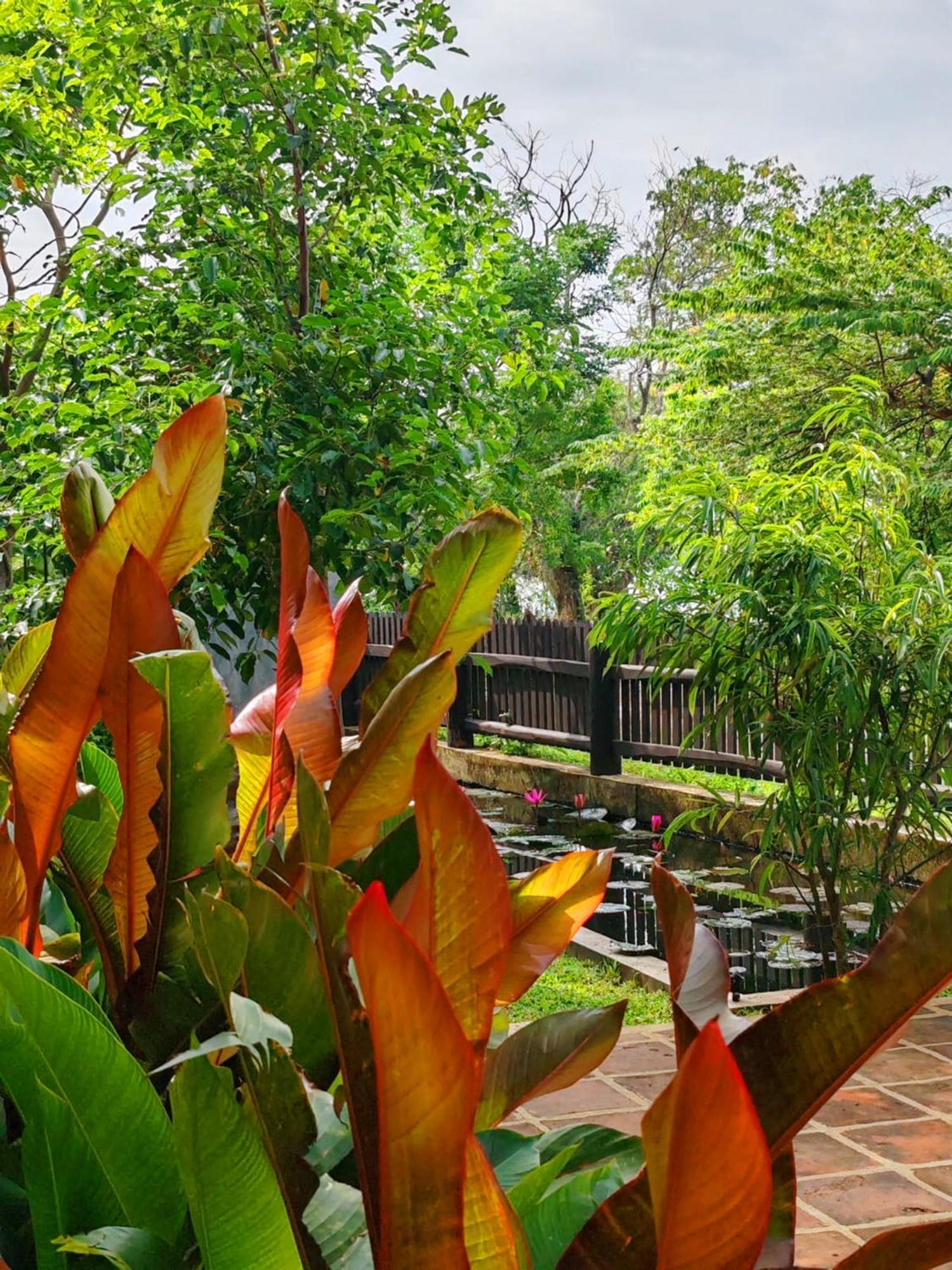Art Yala Boutique Resort Tissamaharama Dış mekan fotoğraf