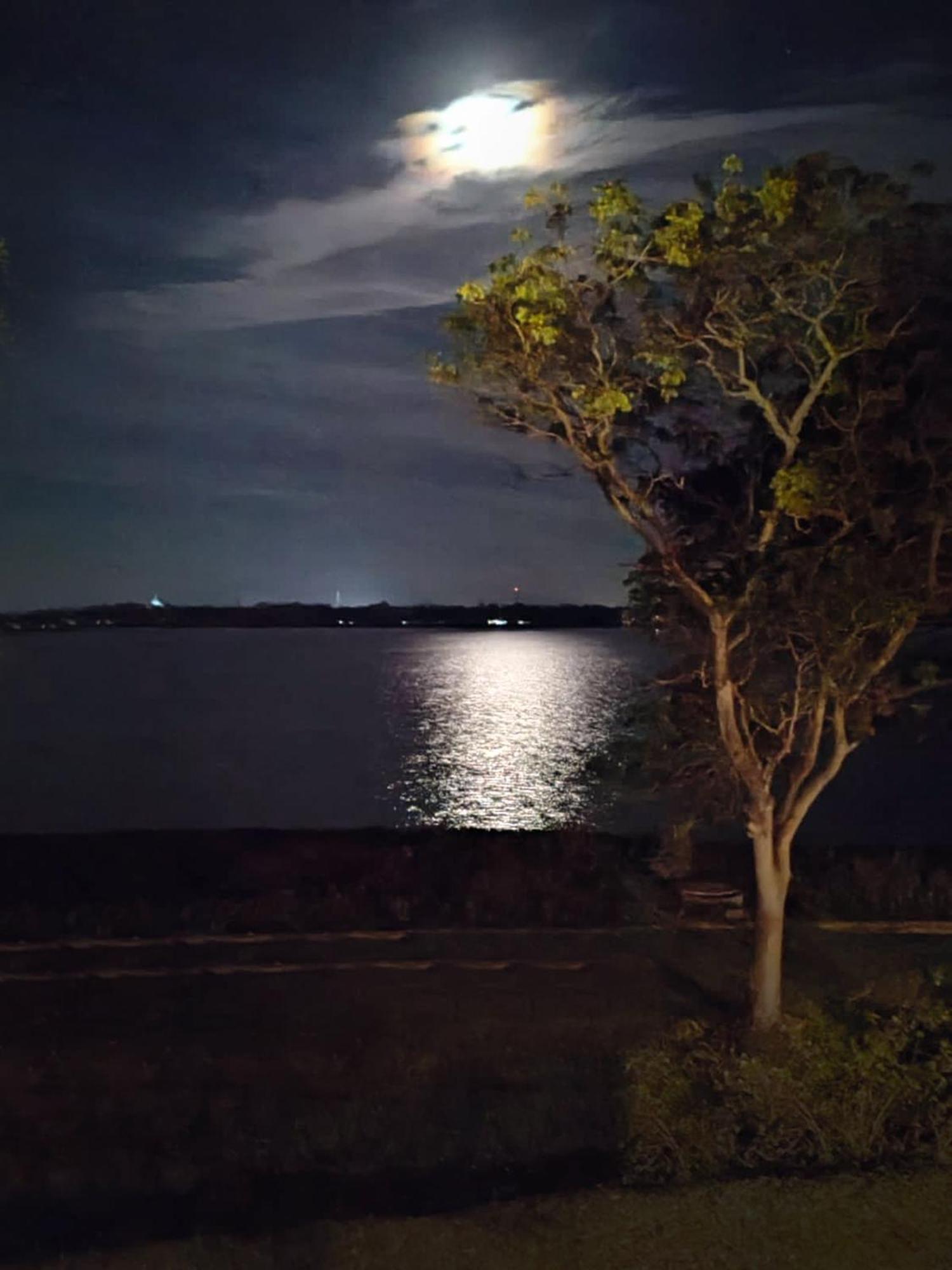 Art Yala Boutique Resort Tissamaharama Dış mekan fotoğraf