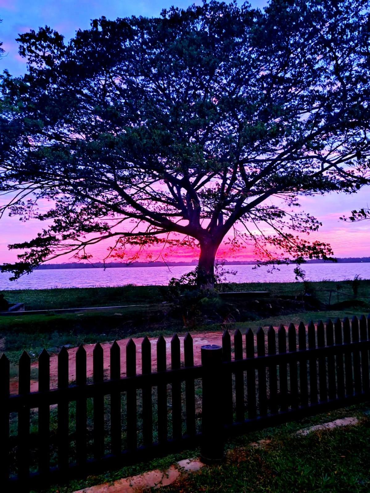 Art Yala Boutique Resort Tissamaharama Dış mekan fotoğraf