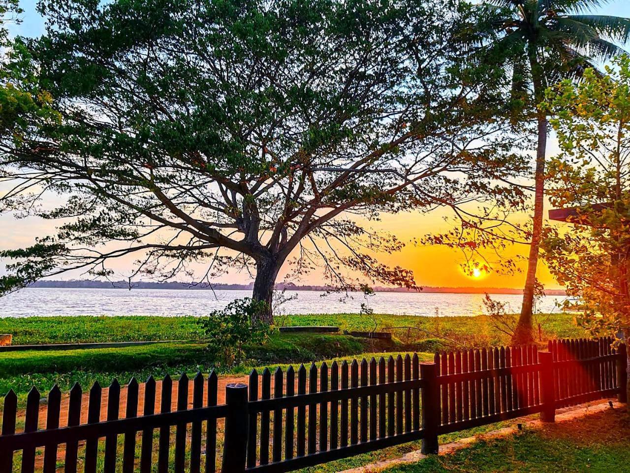 Art Yala Boutique Resort Tissamaharama Dış mekan fotoğraf