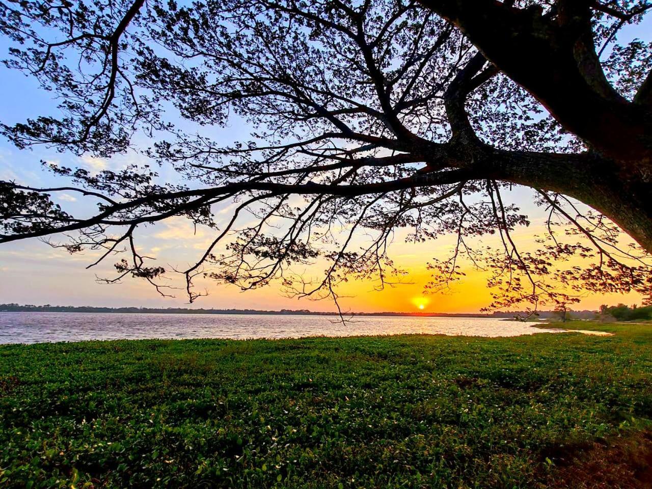 Art Yala Boutique Resort Tissamaharama Dış mekan fotoğraf